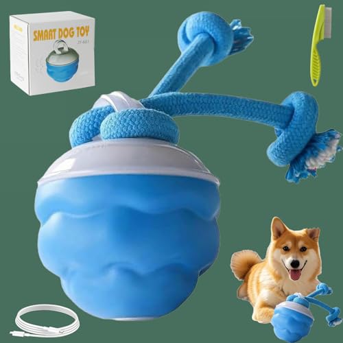 Donubiiu Barkzys Power Tail 2.0 Dog Toy,2025 New Powertail 2.0 Hundespielzeug Interaktiv,Interaktives Hundespielzeug,mit Bewegungsaktivierung,Selbstrollender Ball Für Kleine Hunde (1 pcs) von Donubiiu