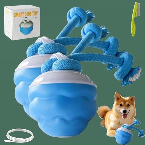 Donubiiu Barkzys Power Tail 2.0 Dog Toy,2025 New Powertail 2.0 Hundespielzeug Interaktiv,Interaktives Hundespielzeug,mit Bewegungsaktivierung,Selbstrollender Ball Für Kleine Hunde (2 pcs) von Donubiiu