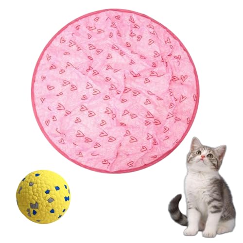 Donubiiu Pfotenjagd Katzenspielzeug, 2 In 1 Simuliertes Interaktives Jagdspielzeug Für Katzen, Pfotenjagd Katze, Jagdspielzeug Katze, Spielzeugmatte Für Katzen (1PCS-B) von Donubiiu