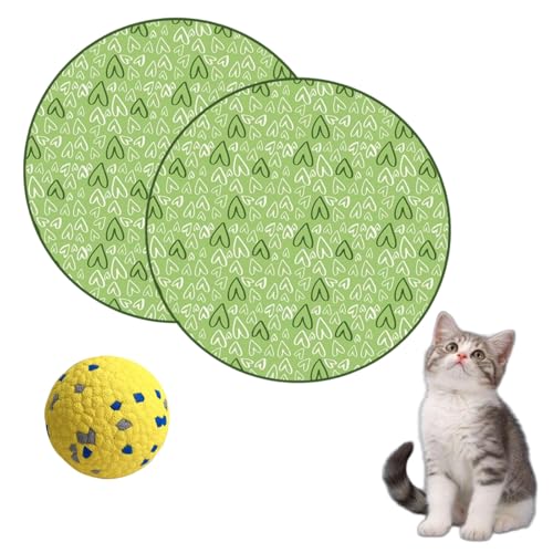 Donubiiu Pfotenjagd Katzenspielzeug, 2 In 1 Simuliertes Interaktives Jagdspielzeug Für Katzen, Pfotenjagd Katze, Jagdspielzeug Katze, Spielzeugmatte Für Katzen (2PCS-B) von Donubiiu