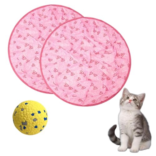 Donubiiu Pfotenjagd Katzenspielzeug, 2 In 1 Simuliertes Interaktives Jagdspielzeug Für Katzen, Pfotenjagd Katze, Jagdspielzeug Katze, Spielzeugmatte Für Katzen (2PCS-C) von Donubiiu