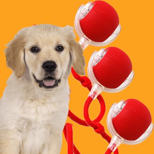 Donubiiu Pfotenmond Ball,Pfotenmond Magic Ball, Magic Ball Hund, Interaktiver Spielball für Hunde,Power Ball 2.0 Katze, Elektrisch Interaktiver Hundespielzeug Kauzauberball mit Schwanz (3 Stück) von Donubiiu