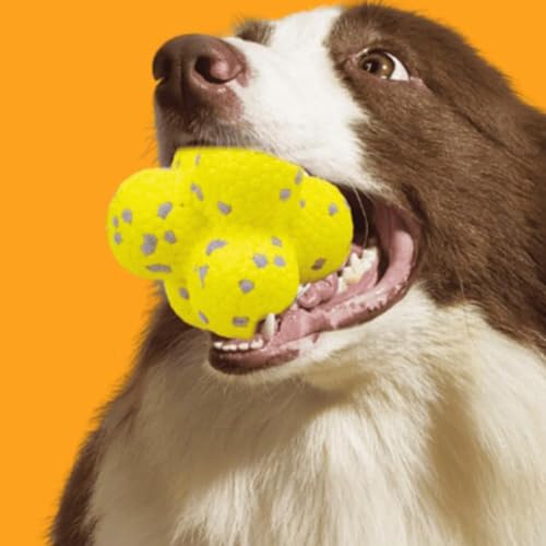 Donubiiu Pfotenstern Kauzauber Ball,Kauzauber-Ball 2024 Kauzauber-Ball FüR Hunde,Magic Ball Hunde,Geeignet Zum ZäHneknirschen Und Spielen (Yellow-1) von Donubiiu