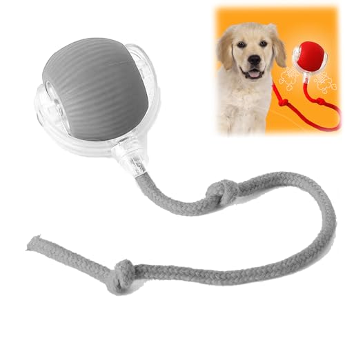 Donubiiu Pfotenstern Magic Ball, Interaktiver Spielball Pfotenstern, Magic Ball Hund, Elektrisch Interaktiver Hundespielzeug Kauzauberball mit Schwanz, für Katzen und Hunde (Grau) von Donubiiu