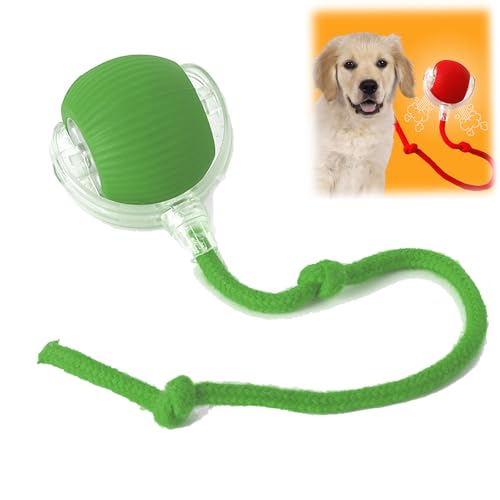 Donubiiu Pfotenstern Magic Ball, Interaktiver Spielball Pfotenstern, Magic Ball Hund, Elektrisch Interaktiver Hundespielzeug Kauzauberball mit Schwanz, für Katzen und Hunde (Grün) von Donubiiu