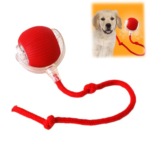 Donubiiu Pfotenstern Magic Ball, Interaktiver Spielball Pfotenstern, Magic Ball Hund, Elektrisch Interaktiver Hundespielzeug Kauzauberball mit Schwanz, für Katzen und Hunde (Rot) von Donubiiu