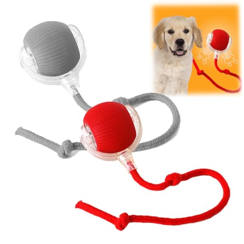 Donubiiu Pfotenstern Magic Ball, Interaktiver Spielball Pfotenstern, Magic Ball Hund, Elektrisch Interaktiver Hundespielzeug Kauzauberball mit Schwanz, für Katzen und Hunde (Rot+Grau) von Donubiiu