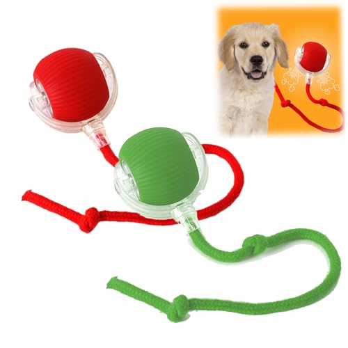 Donubiiu Pfotenstern Magic Ball, Interaktiver Spielball Pfotenstern, Magic Ball Hund, Elektrisch Interaktiver Hundespielzeug Kauzauberball mit Schwanz, für Katzen und Hunde (Rot+Grün) von Donubiiu