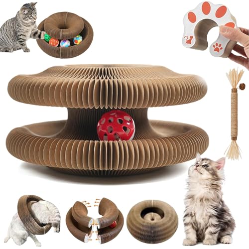 Katzen GlüCk - Magischer Kratztunnel,Katzenwirbel - Katzen Wirbel Spielzeug - Magic Organ Cat Scratching Board, 2-In-1 Cat Kratzbrett Mit GlöCkchen (1 pcs) von Donubiiu