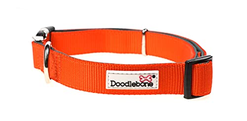 Doodlebone Gepolsterter Kragen, Hunde Halsband, Mandarine, 3–6 von Doodlebone