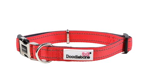 Doodlebone Gepolstertes Halsband, Koralle, 3-6 von Doodlebone