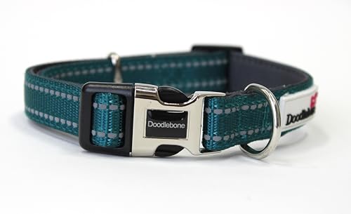 Doodlebone Hunde Gepolstertes Halsband, Blaugrün, Größe 39-45 von Doodlebone