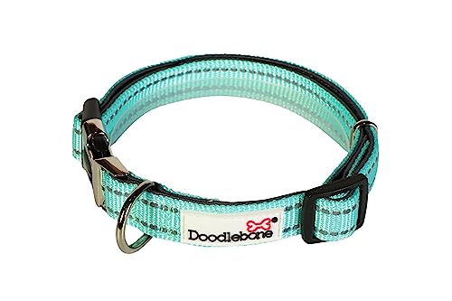 Doodlebone Gepolstertes Halsband, Mint, 6-11 von Doodlebone