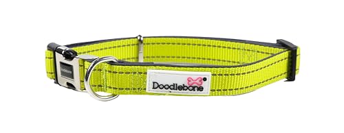 Doodlebone Gepolstertes Halsband, Citrus, 3-6 von Doodlebone