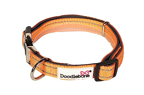 Doodlebone Gepolstertes Hundehalsband (3-6, Pfirsich) von Doodlebone