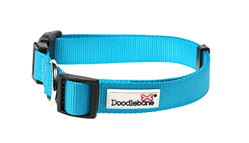 Doodlebone Hundehalsband, Aqua, 1-2 von Doodlebone