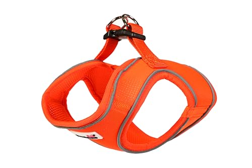 Doodlebone Original Snappy Hundegeschirr (Tangerine, 2) von Doodlebone