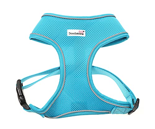 Doodlebone Airmesh Geschirr, Aqua, 1 von Doodlebone