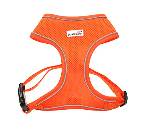 Doodlebone Originals Airmesh Hundegeschirr (Tangerine, 3) von Doodlebone