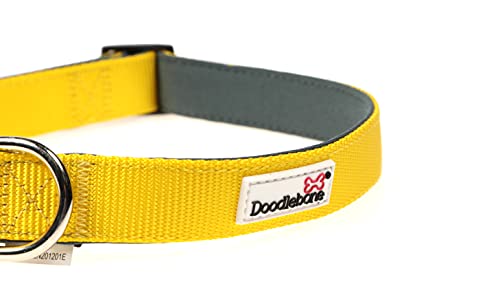 Doodlebone Originals Gepolstertes Hundehalsband (Sunshine, 1-2) von Doodlebone