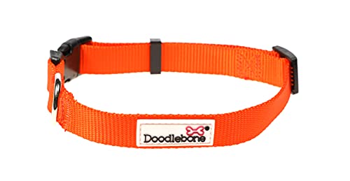 Doodlebone Originals Hund Hundehalsband, Hunde Halsband (Tangerine, 1-2) von Doodlebone