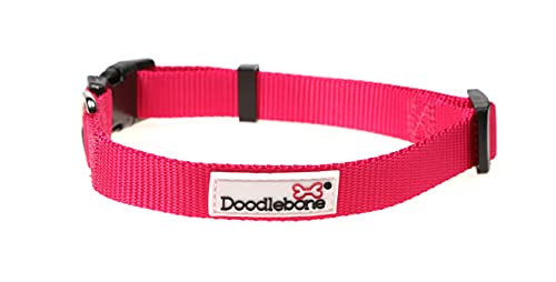 Doodlebone Hunde Halsband, Fuchsia, Größe 3–6 von Doodlebone