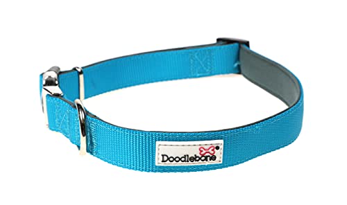 Doodlebone Originals Hundehalsband, Hund Hundezubehör, gepolstert, Gr. 39-46, Aqua, Gr. 39-46 von Doodlebone