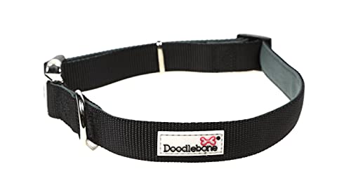 Doodlebone Originals Hundehalsband, gepolstert, Kohle, Größe 3-6 von Doodlebone