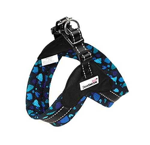 Doodlebone Pattern Boomerang Hundegeschirr, Hund Zubehör, Electric Party, 6-7 von Doodlebone