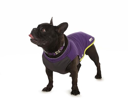 Doodlebone Pufferjacke für Hunde, Violett, 1–2 von Doodlebone