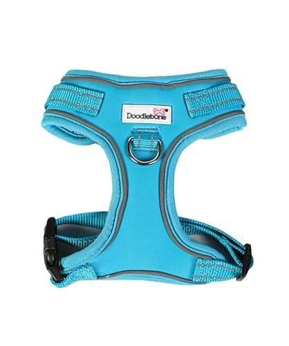 Doodlebone Verstellbares Airmesh, Aqua, 3-5 von Doodlebone