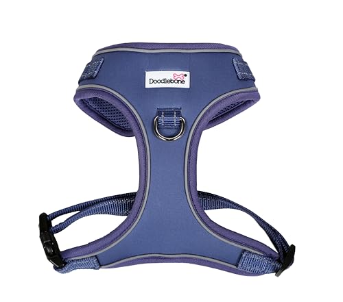 Doodlebone Verstellbares Airmesh, Indigo, 2-3 von Doodlebone