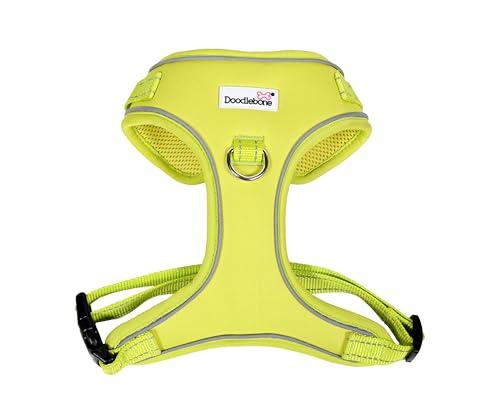 Doodlebone Verstellbares Airmesh, Citrus, 1-2 von Doodlebone