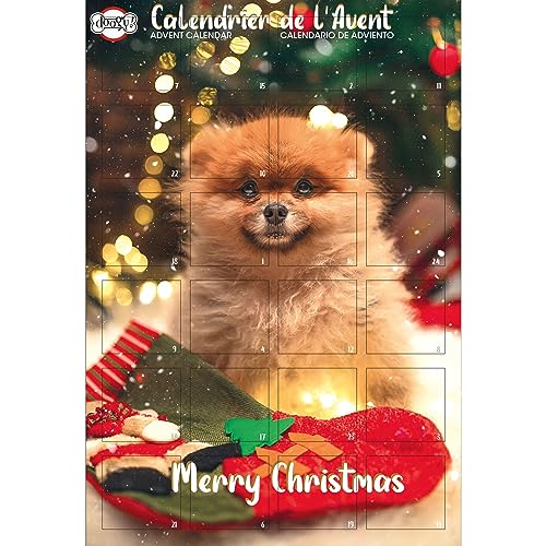 DOOGY - Adventskalender für Hunde 168 g von Doogy