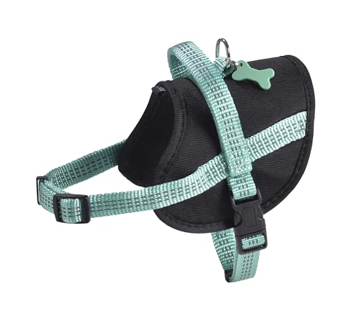 Bobby Easy Safe Hundegeschirr mit Medaille, Größe S, aus reflektierendem Nylon mit Mantel, Verstellbarer Schnallenverschluss, Türkis, Größe Brustumfang 39-50 cm von Doogy