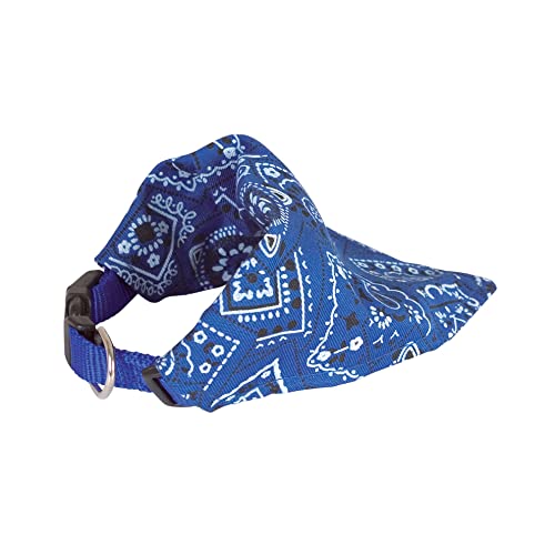 Doogy Bandana Halskette, Blau, 15 mm x 30 – 48 cm von Doogy