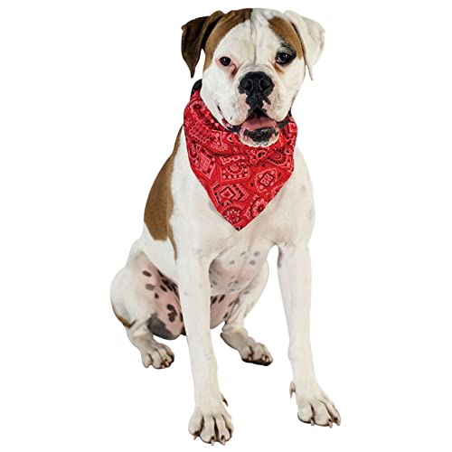 Doogy Halskette, Bandana, Rot, 25 mm x 45 – 73 cm von Doogy