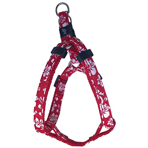 Doogy Hundegeschirr, Größe M, 30-50 cm x 16 mm, Rot von Doogy