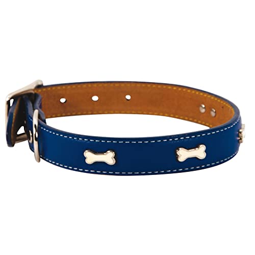 Doogy Hundehalsband, Leder, Indigoblau von Doogy