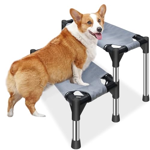 Hundetreppe für kleine Hunde – 2 Etagen Hundetreppe für Hochbett und CouchSofa, 31 cm hoch, rutschfeste Unterseite, Haustiertreppe, für Hunde und Katzen Klettern von Dopliv