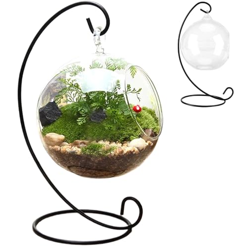 Luftpflanzen-Terrarium, mit schwarzem Eisenständer, klare Glas-Terrarien für Pflanzen, hängendes, lustiges DIY-Luftpflanzen-Terrarium-Set, für Luftpflanzen, saftige kleine Pflanzen, hängende Glasvase, von Dorccsi