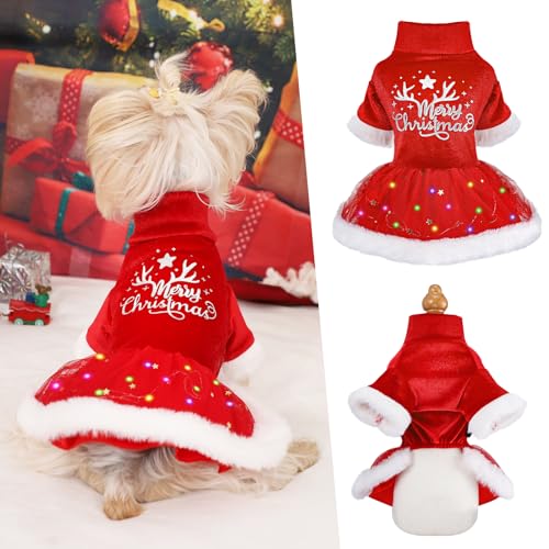 Dosuyi Beleuchtetes Hunde-Weihnachtskleid, Frohe Weihnachten Kleiner Hund Weihnachtskostüm Outfit, Herbst Winter Hundepullover für kleine Hunde Mädchen, Katzenkleidung Haustier Bekleidung von Dosuyi