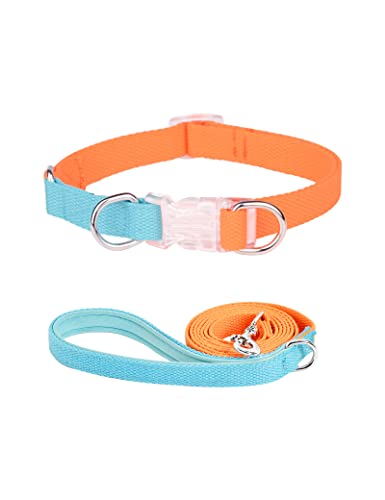 Dosuyi Hundehalsband für Kleine Hunde, Mittel Groß Hundehalsband, Haustierhalsband Verstellbar für Große Hunde, Welpenhalsbänder Zubehör (S, Blau) von Dosuyi