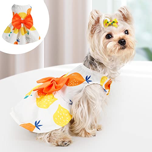 Hundekleider für kleine Hunde Mädchen Haustier Hund Kleidung Sommer Welpen Kleid Weibliche Niedlich Hund Kleidung Hund Outfits für Chihuahua Yorkie Katzen von Dosuyi