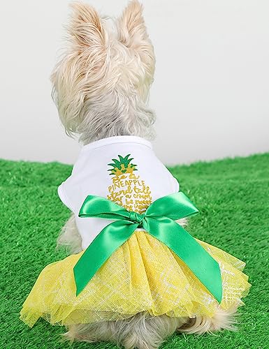 Hundekleidung für kleine Hunde, Mädchen, Hundekleid, weiblich, niedlich, Prinzessin, Geburtstag, Welpenkleider, Haustier-Kleid, Katzen-Outfit, Chihuahua, Yorkie, Shih Tzu von Dosuyi