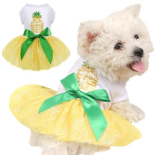 Kleines Hundekleid Niedliche Prinzessin Geburtstag Hundekleider Weiche Obstdruck Welpenkleider Mädchen Hochzeit Hundekleidung für kleine Hunde Katzen Chihuahua Yorkie Shih Tzu (X-Small, Gelbe Kronen) von Dosuyi