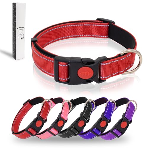 Dote on Hundehalsband, reflektierend, verstellbar, mit weicher Neopren-Polsterung, strapazierfähiges Nylon, Haustierhalsbänder für verschiedene Arten und Größen von Hunden, Größe XL: 45,7 - 71,1 cm von Dote on