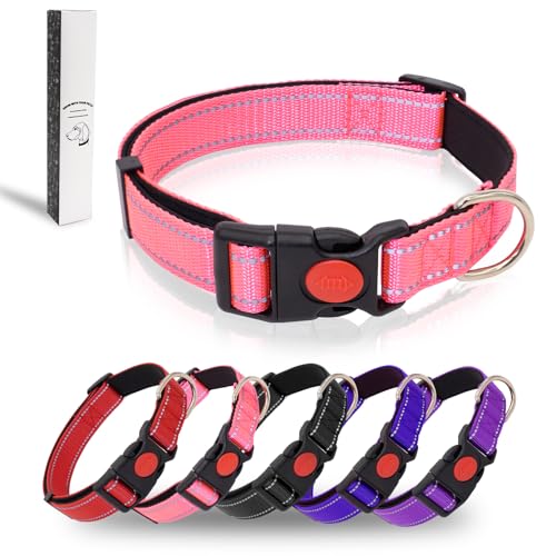 Dote on Hundehalsband, reflektierend, verstellbar, mit weicher Neopren-Polsterung, strapazierfähiges Nylon, Haustierhalsbänder für verschiedene Arten und Größen von Hunden, L: 40,6–61 cm Länge, 2,5 cm von Dote on