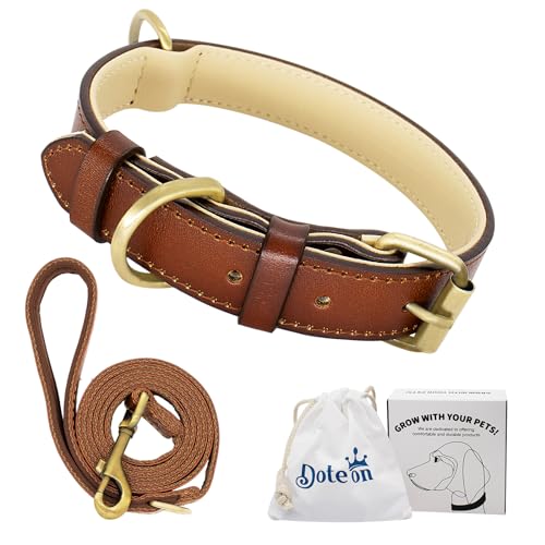 Dote on Hundehalsband und Leine, Leder, verstellbar, aus echtem weichem Leder, gepolstert, für kleine, mittelgroße und große Hunde (S(26–36 cm), Braun) von Dote on