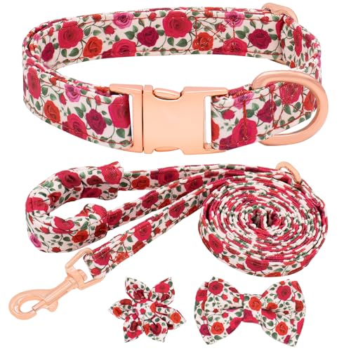 Dote on Hundehalsband und Leine, Set mit Fliege, Mädchen-Hundehalsband mit abnehmbarer Blume mit starker goldfarbener Schnalle, verstellbares, weich gepolstertes Haustierhalsband für kleine, von Dote on